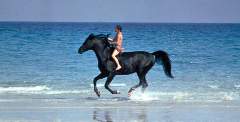 Emotional Last Scene From The Black Stallion